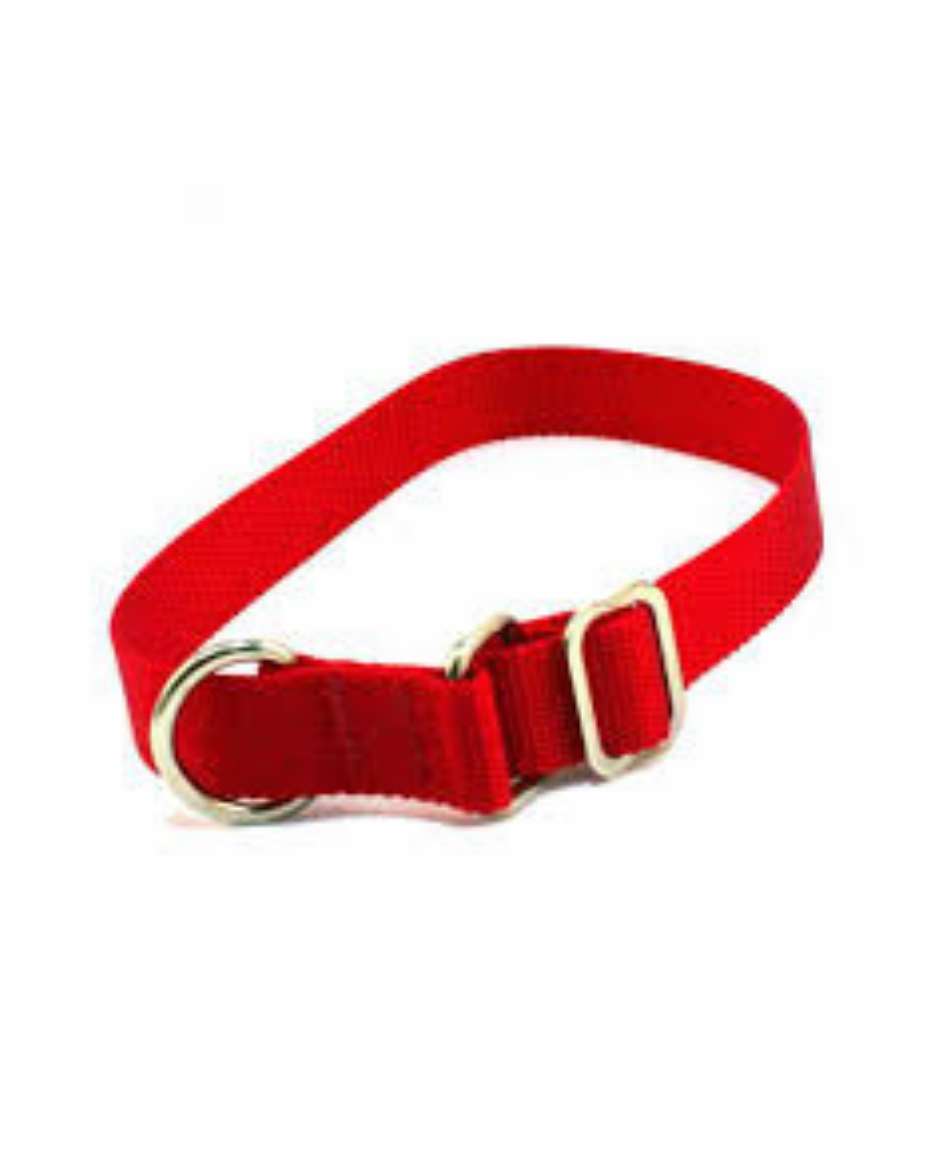 ADJUSTABLE PUPPY COLLAR