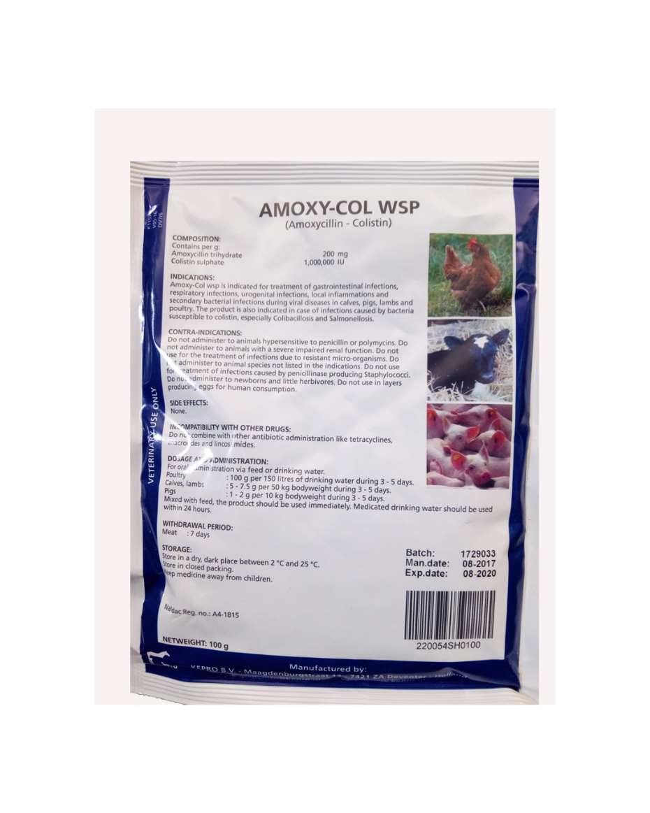 AMOXYCOL WSP 100G