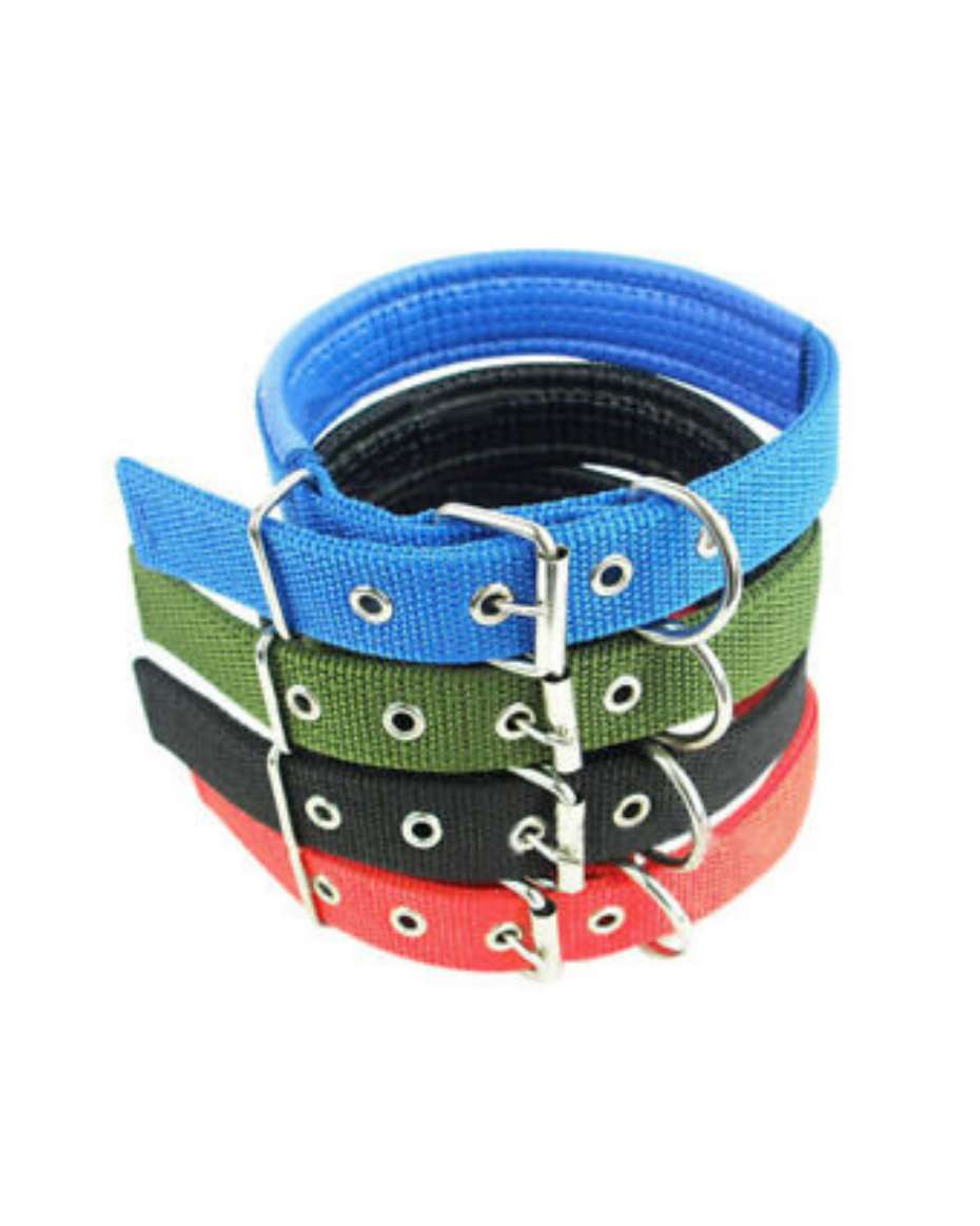 BIG/ADULT COLLAR