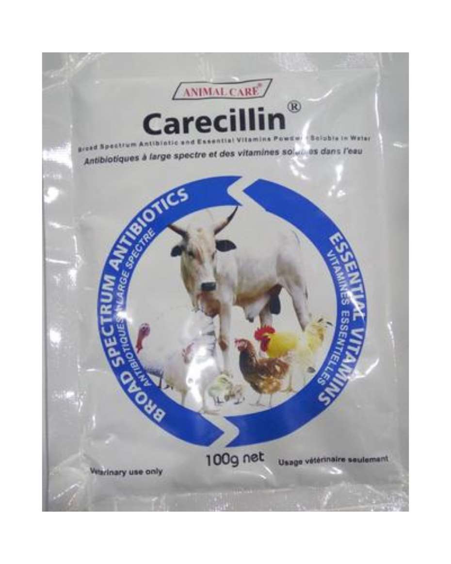 CARECILLIN 100G