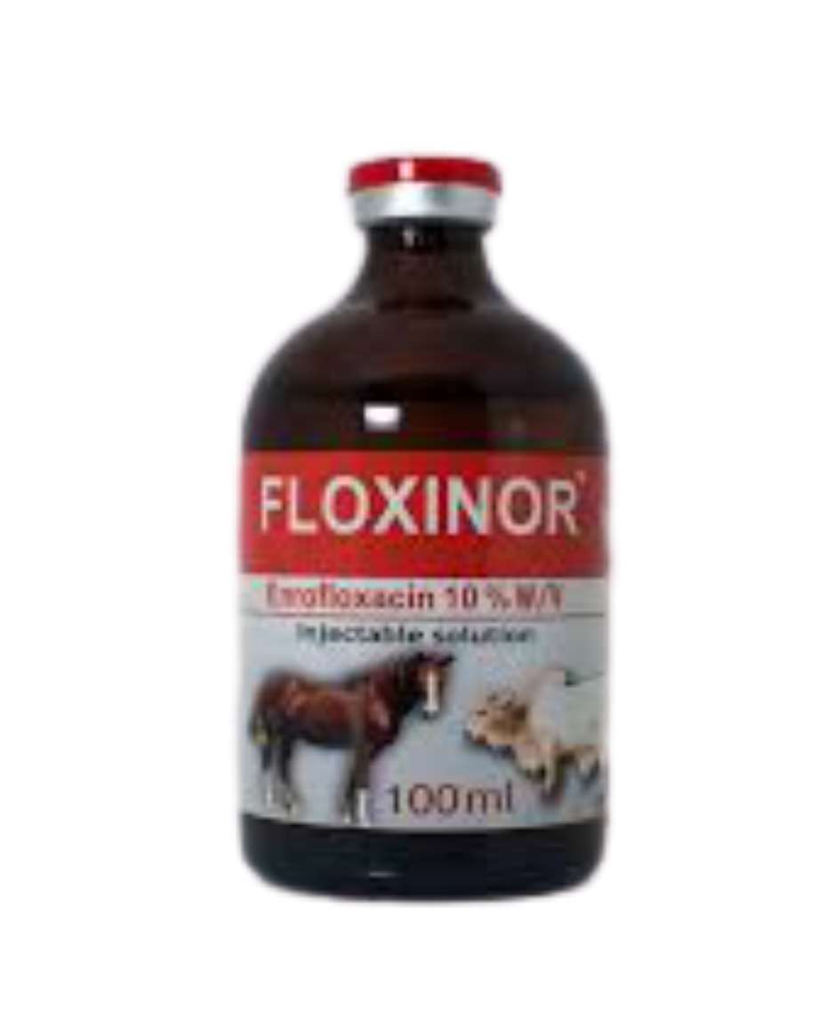 FLOXINOR 100ML