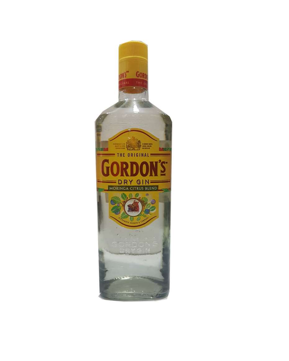 GORDONS DRY GIN 18CL