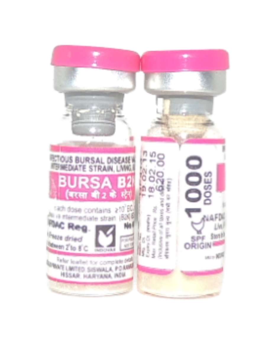 GUMBORO 1000 DOSES (GENERIC)