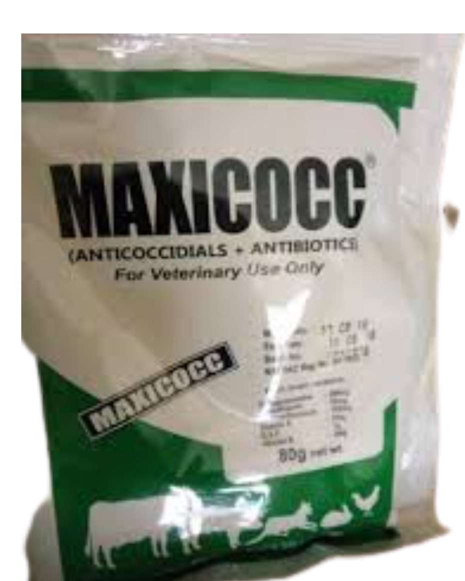 MAXICOCC 100G