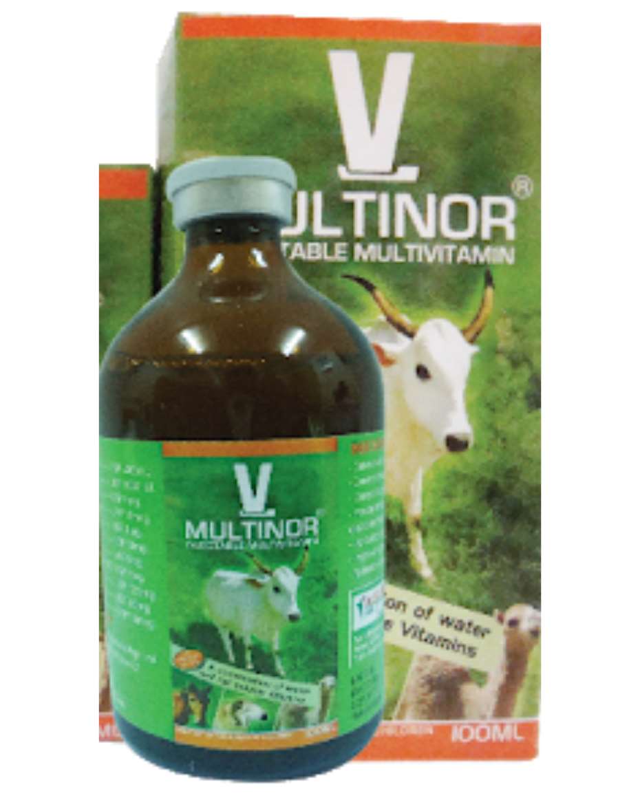 MULTINOR 100ML