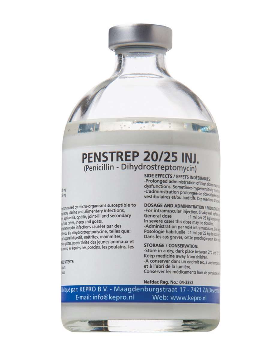 PENSTREP 100ML