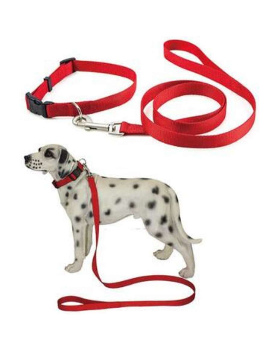 PUPPY COLLAR WITH LEASH