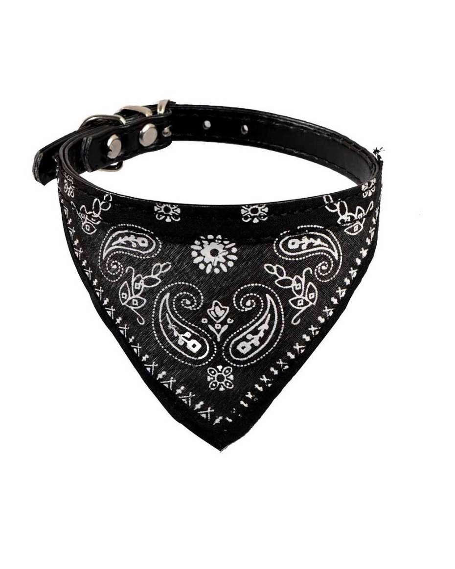 PUPPY COLLAR WITH SCALF