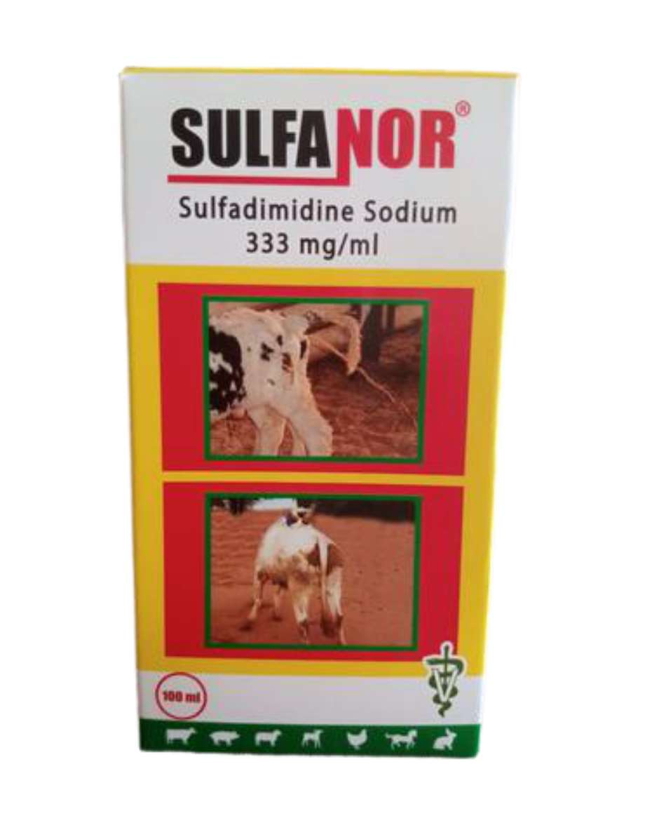 SULFANOR 100ML