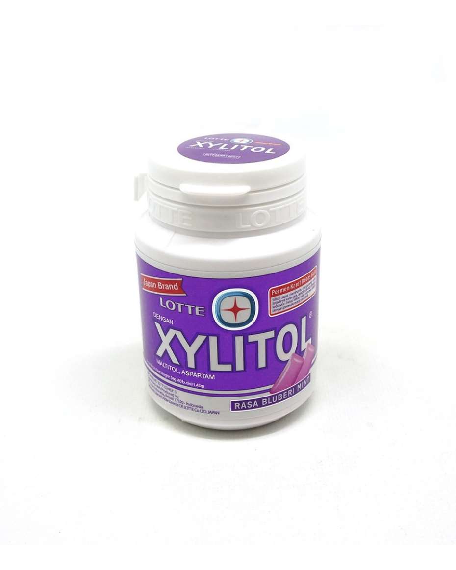 XYLITOL RASAL BLUBERI MINT 58G