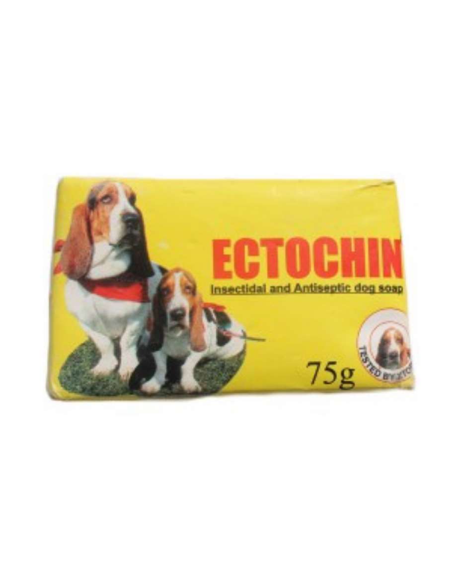 ECTOCHIN SOAP 75G