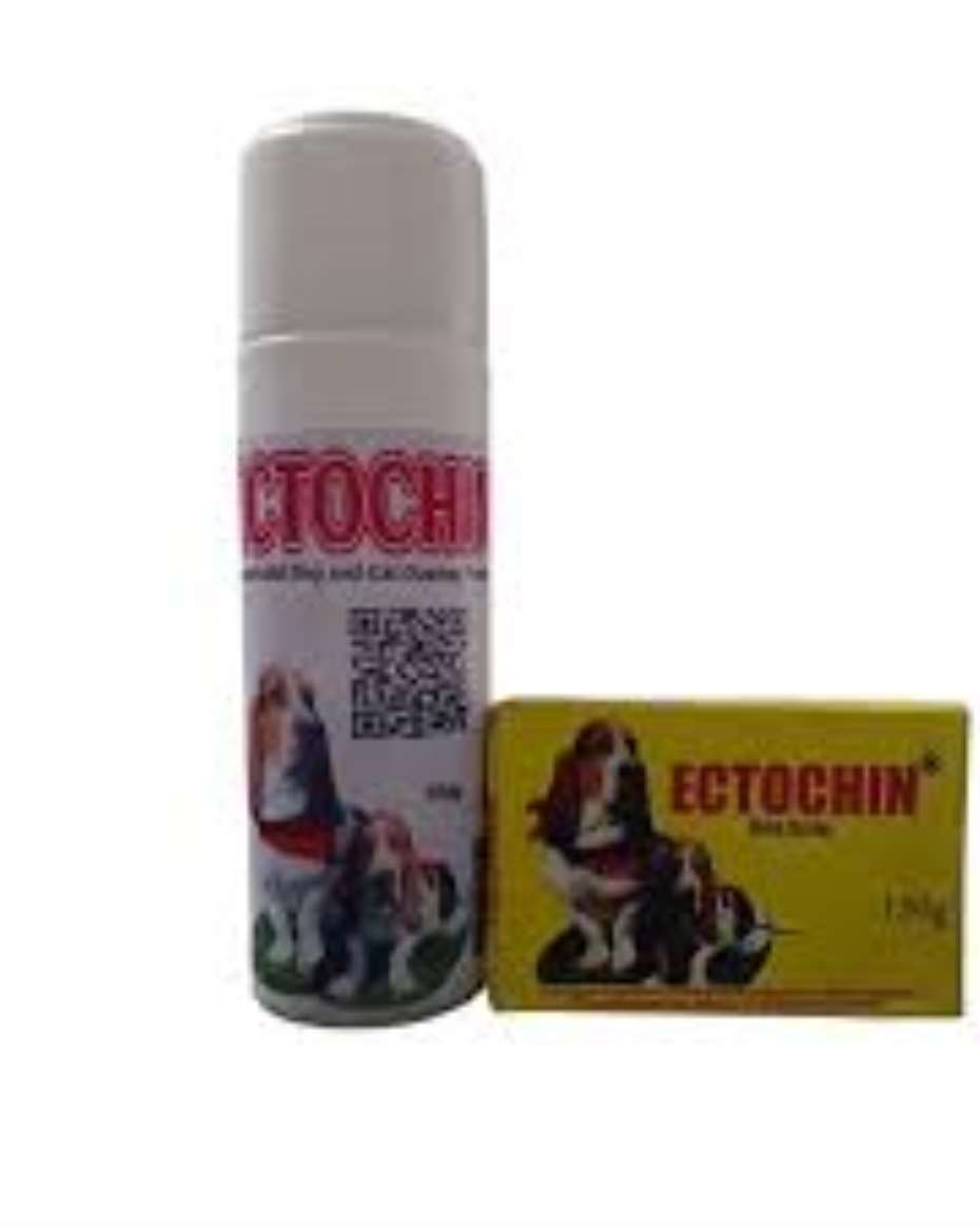 ECTOCHIN 75G