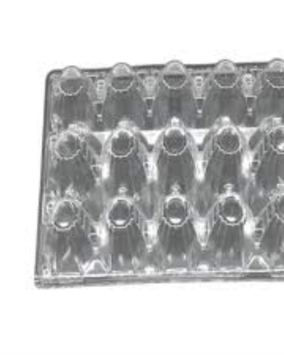 EGG TRAY X15