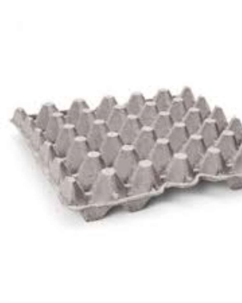 EGG TRAY X30