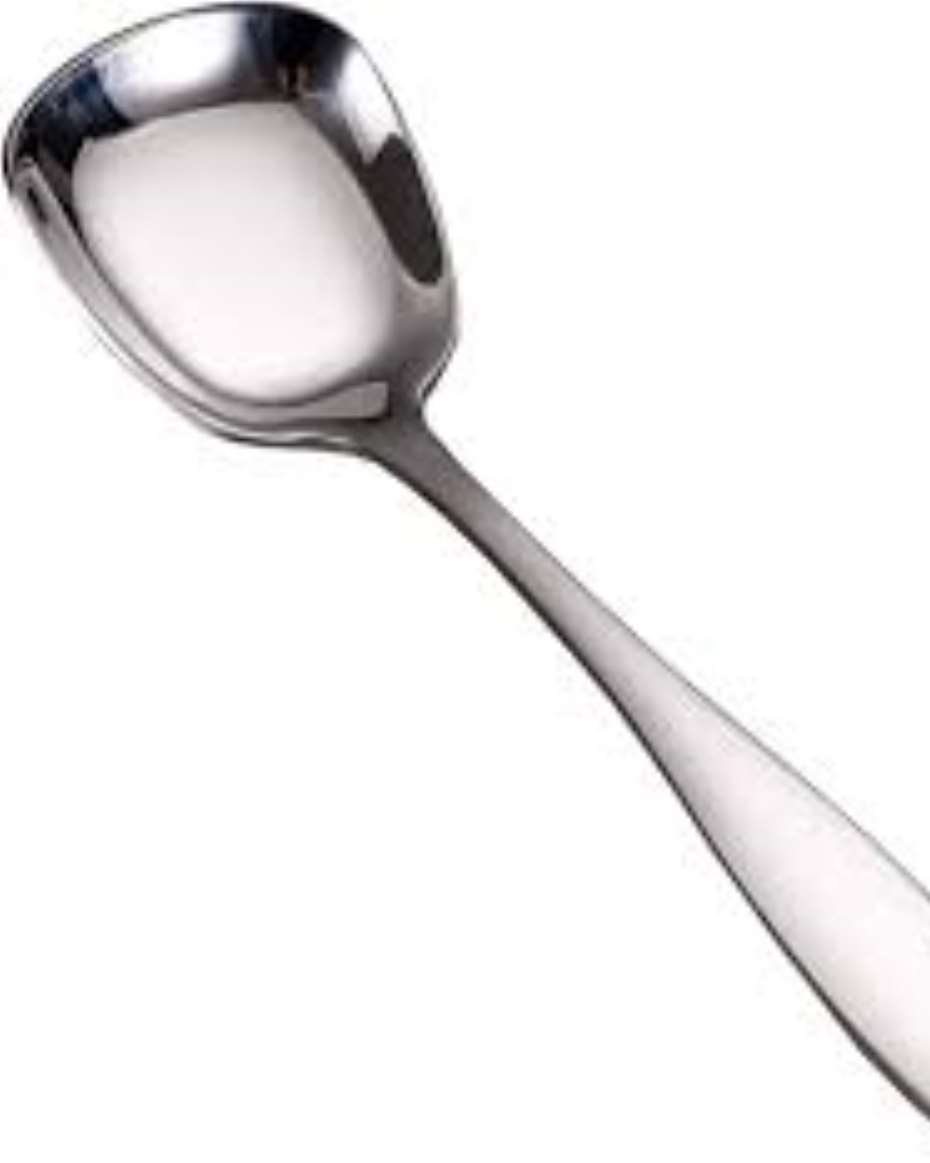 FASHION LIFE SERIES FLAT SPOON