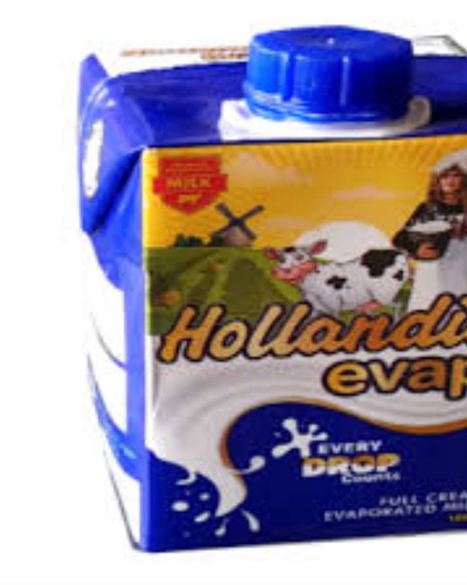 HOLLANDIA EVAP 120G 24X1