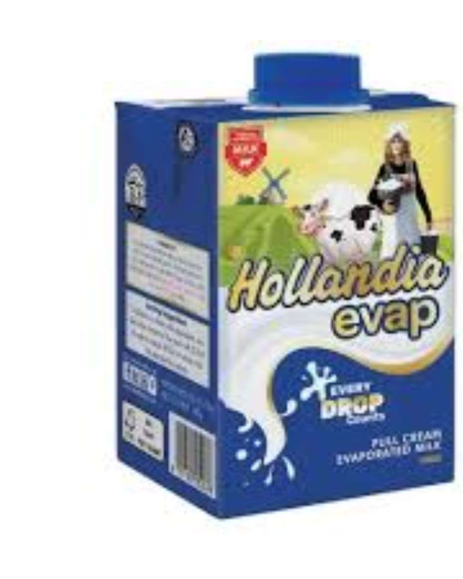 HOLLANDIA EVAP 190G 24X1