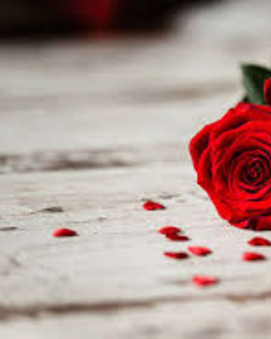 ROSE FLOWER MEDIUM