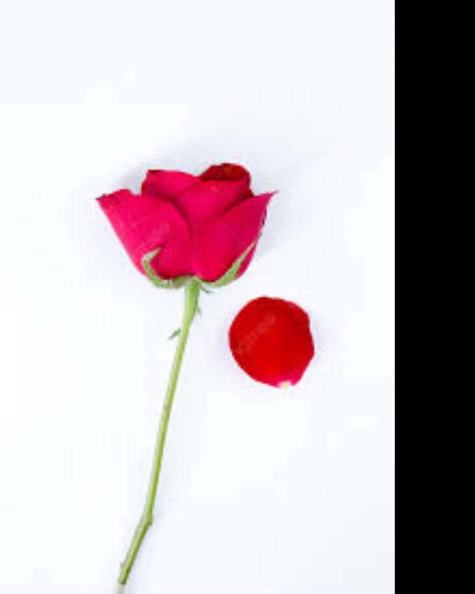 ROSE FLOWER SMALL