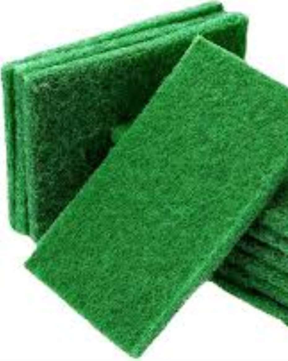 SCOURING PADS GREEN WISE WASH