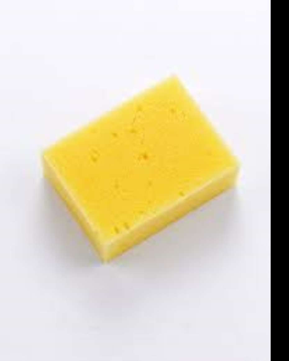 SPONGE SMALL