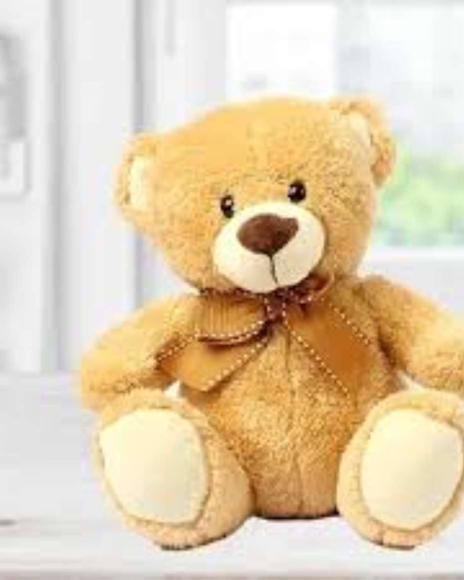 TEDDY BEAR SMALL