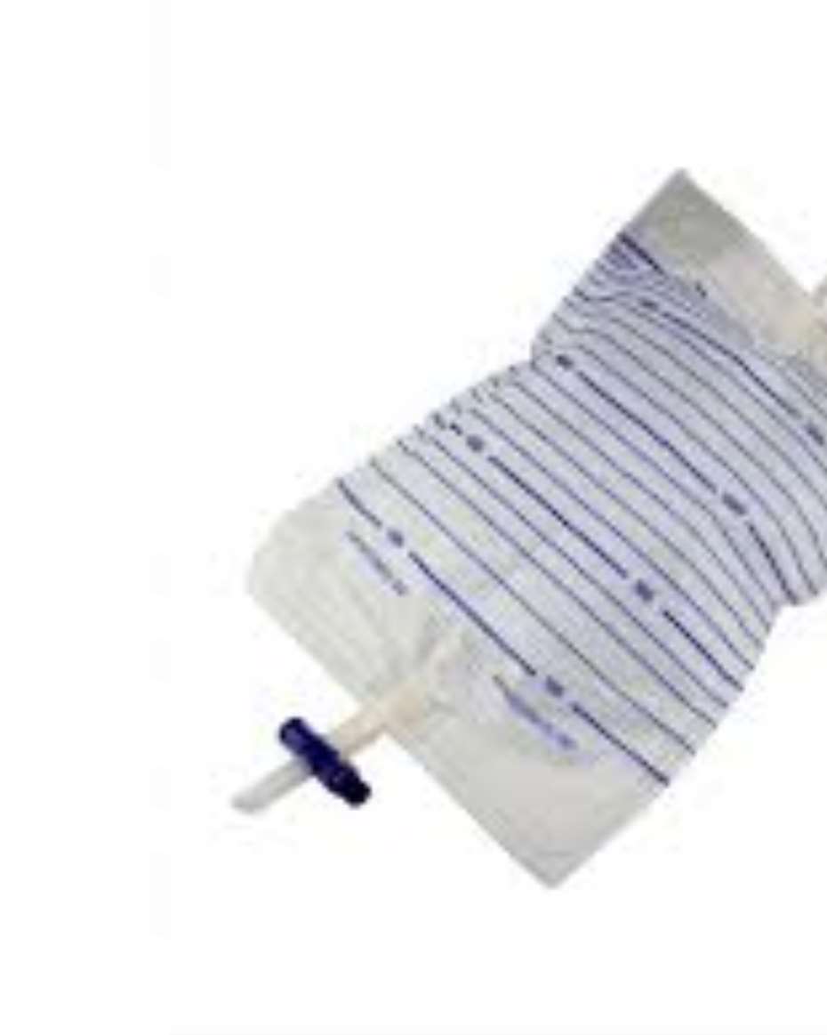 URINE DRANAGE BAG