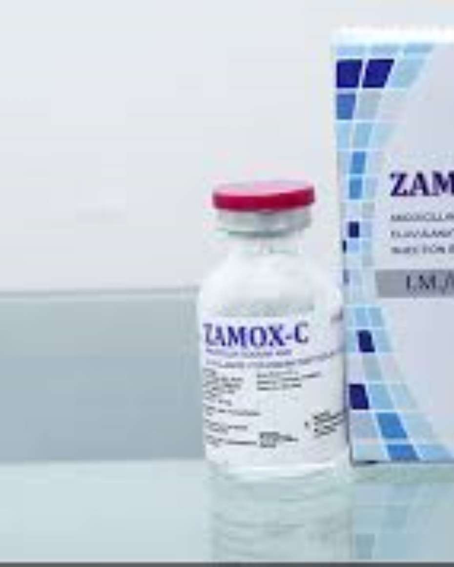 ZAMOXIN INJ (AMOXYCILLIN)
