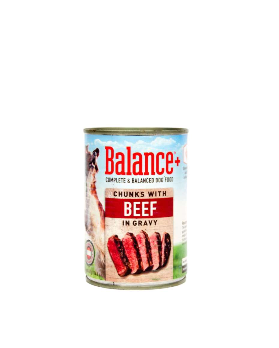 BALANCE CHUNKS WITH BEEF IN GRAVY