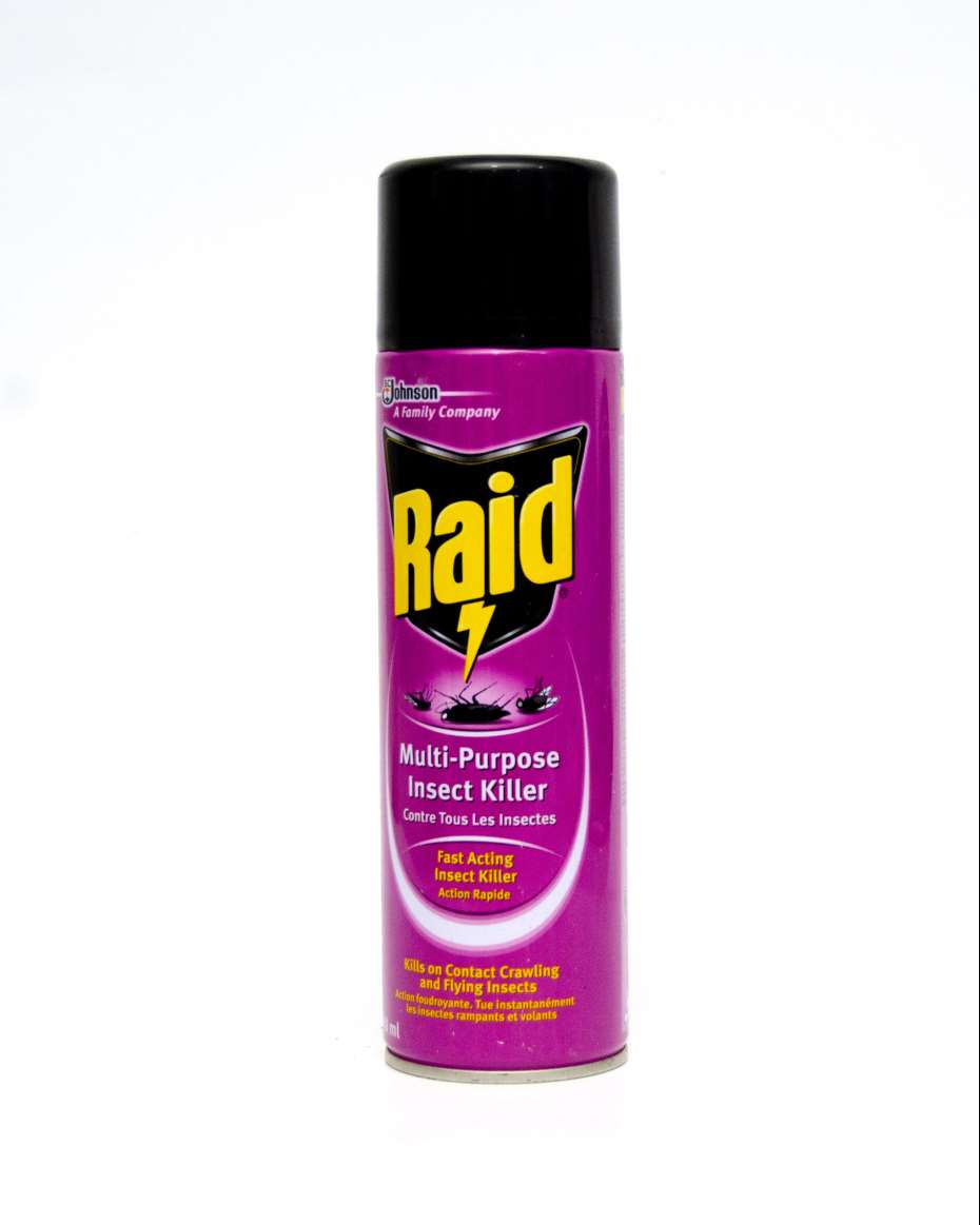 RAID MULTI-PURPOSE INSECT KILLER 300ML